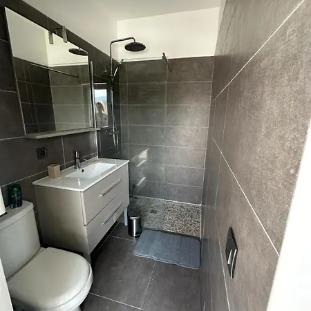 Standing 226m2 8 Chb 8 Sdb Corse Du Sud * Lecci