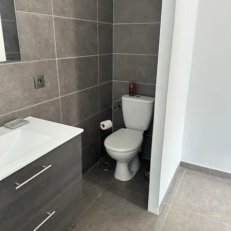 Standing 226m2 8 Chb 8 Sdb Corse Du Sud Villa