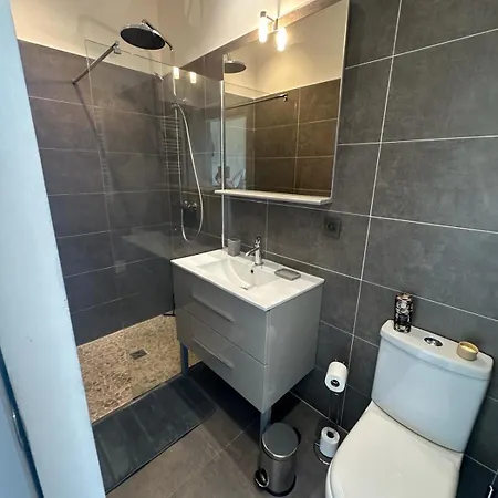 Standing 226m2 8 Chb 8 Sdb Corse Du Sud Vila